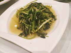 清炒鸡毛菜-好彩酒楼烤鸭坊
