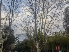 -浙江大学(玉泉校区)