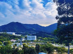 -白石龙音乐公园