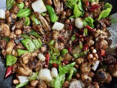 -吃奇喝哈童子鸡