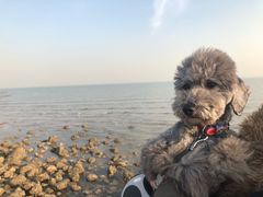 -东疆建设开发纪念公园