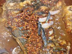 -鱼酷活鱼烤鱼(沈阳大悦城店)