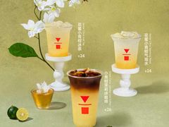 -代数学家algebraist(苏州中心店)