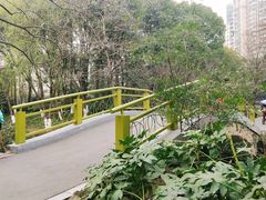 -青枫公园