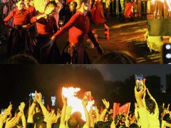 -武汉园博园(武汉自然博物馆)