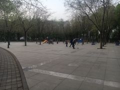 -金星公园