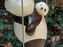 -嫩芽 ·地道重庆菜(十八梯露台夜景店)