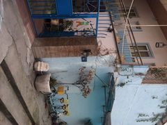 燕子坞客栈-厦门燕子坞客栈