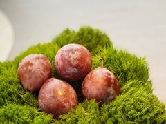 -会仙楼(金融街店)