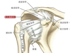 -锐动健身游泳(博地中心店)