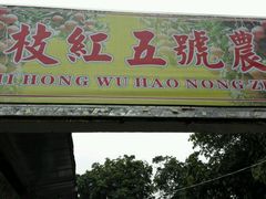 门面-荔枝红五号农庄