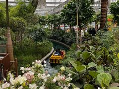 -南宫五洲植物乐园