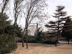 -北京世界公园