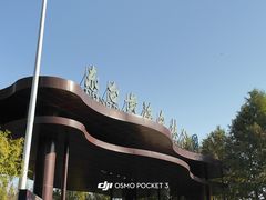 -黄海国家森林公园