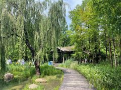 -渤公岛生态公园