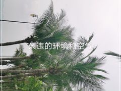 -深圳湾公园(南山区)