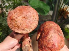 -菌彩云南野生菌火锅(新亚洲店)