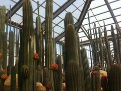 -南通洲际绿博园