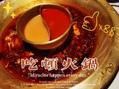 -哥老官重庆美蛙鱼头(虹口龙之梦店)