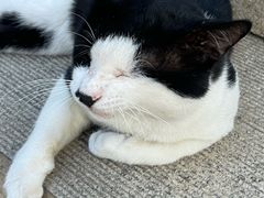 -青岛市江苏路基督教堂