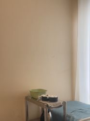 -慈蕊美容养生·专业经络调理