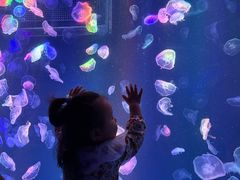 -海合安成都极地海洋公园