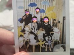 -柴迷FANS CLUB·柴犬狗咖·猫咖