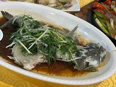 -烧鹅妹饭店