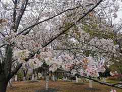 -堤角公园