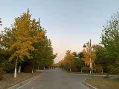 -中家鑫园温泉酒店鑫悦汤泉