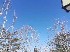 -西海子公园