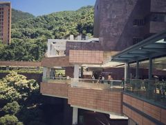 -香港大学