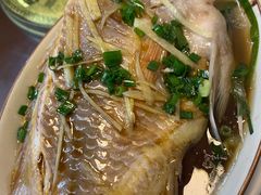 清蒸彩云鲷-聂记粤菜馆(鼓西路店)