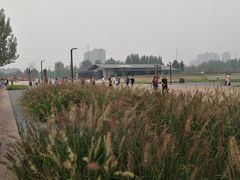 -汉长安城未央宫国家考古遗址公园