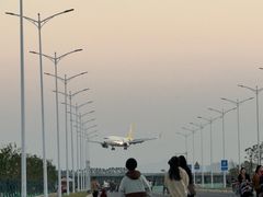 -日の船章鱼小丸子(骏壹万邦店)