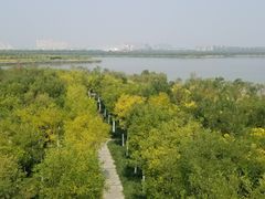 -天津东丽湖风景区