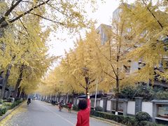 -四川大学(望江校区)