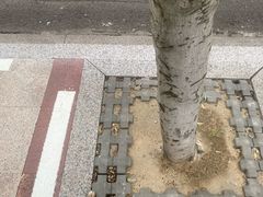 -时尚天河商业广场