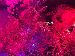 -青藤汗蒸时代会所