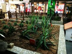 -开元商城(西旺店)