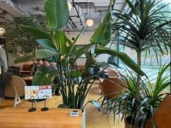 -Wagas沃歌斯(环贸店)