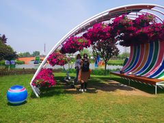 -荷兰花海