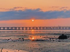 -宝安西湾红树林湿地公园