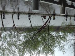 卫鼎轩·津福荟-卫鼎轩·家宴(水上公园店)