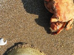 -嵊泗基湖沙滩