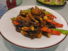 京葱汁鸡枞菌-金蝉食府(维吉奥广场店)