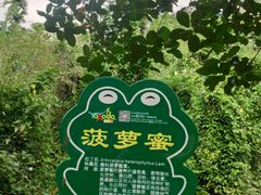-呀诺达热带雨林