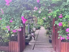 -谷咖啡·鲜花绿植花园餐厅