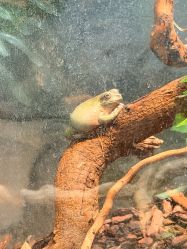 -Zoolung Zoolung动物主题公园(海信广场店)