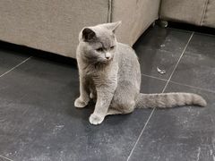 -吱咖啡西式简餐